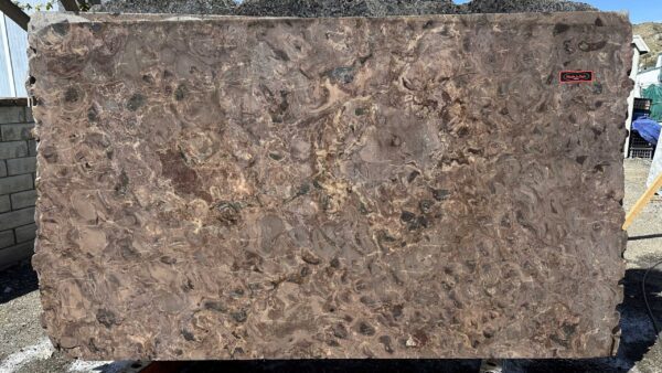 Petrified Ember Polished 2cm